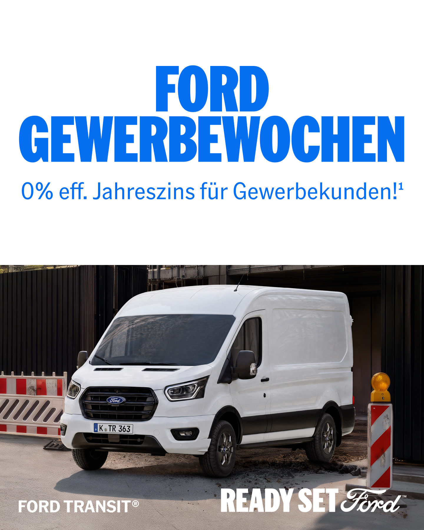 static_wpp_ford_transit_rsf_de_4x5_1440x1800